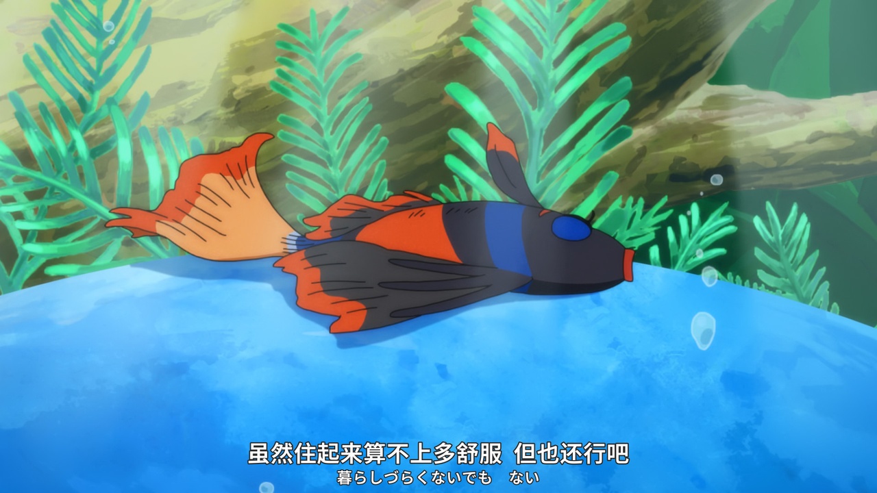 虽然住起来算不上多舒服 但也还行吧
