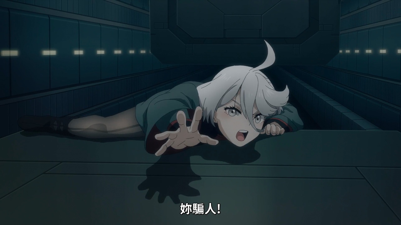 妳騙人！