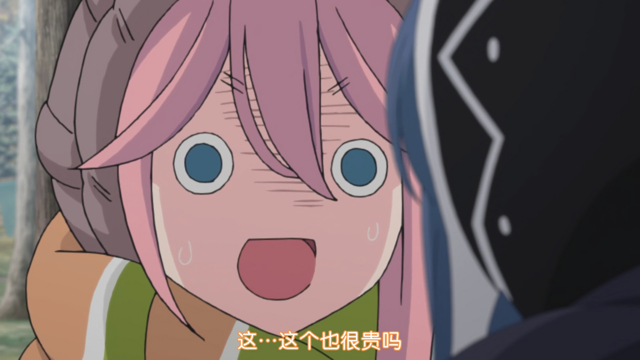 这...这个也很贵吗