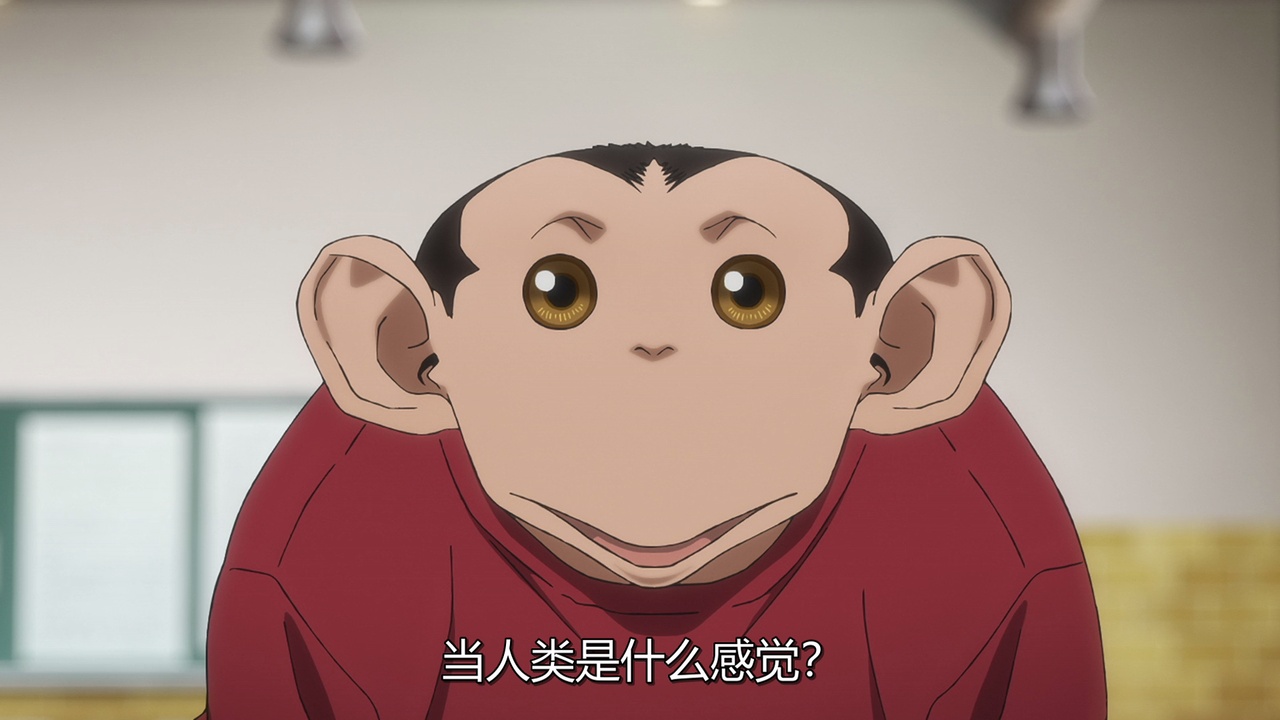 当人类是什么感觉？
