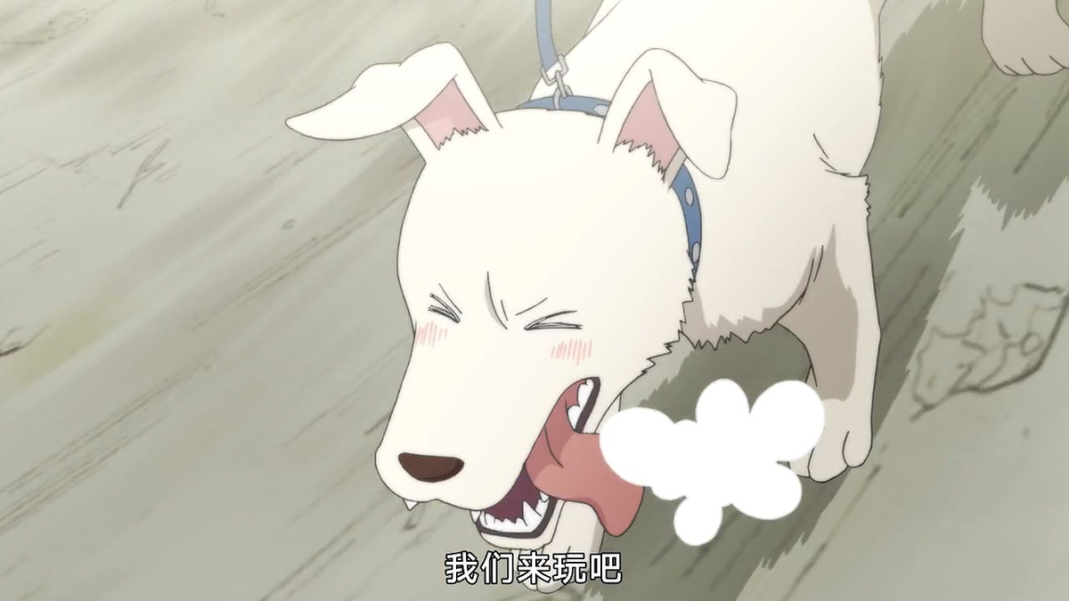 我们来玩吧