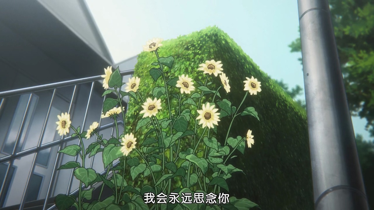 我会永远思念你