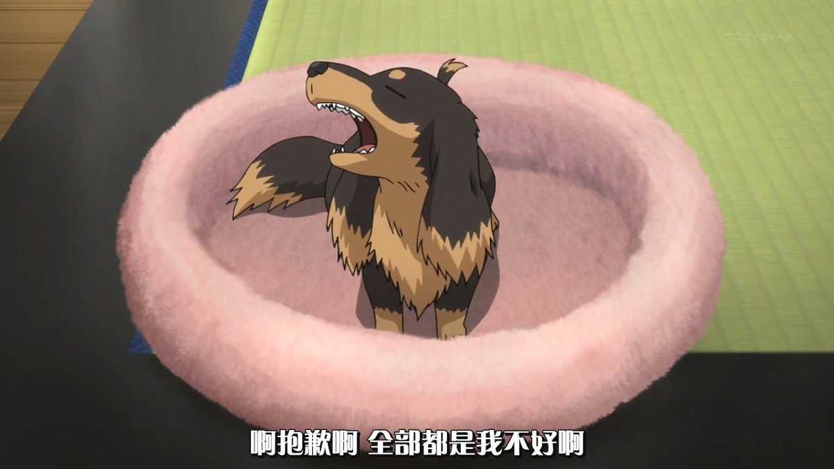 啊抱歉啊 全部都是我不好啊