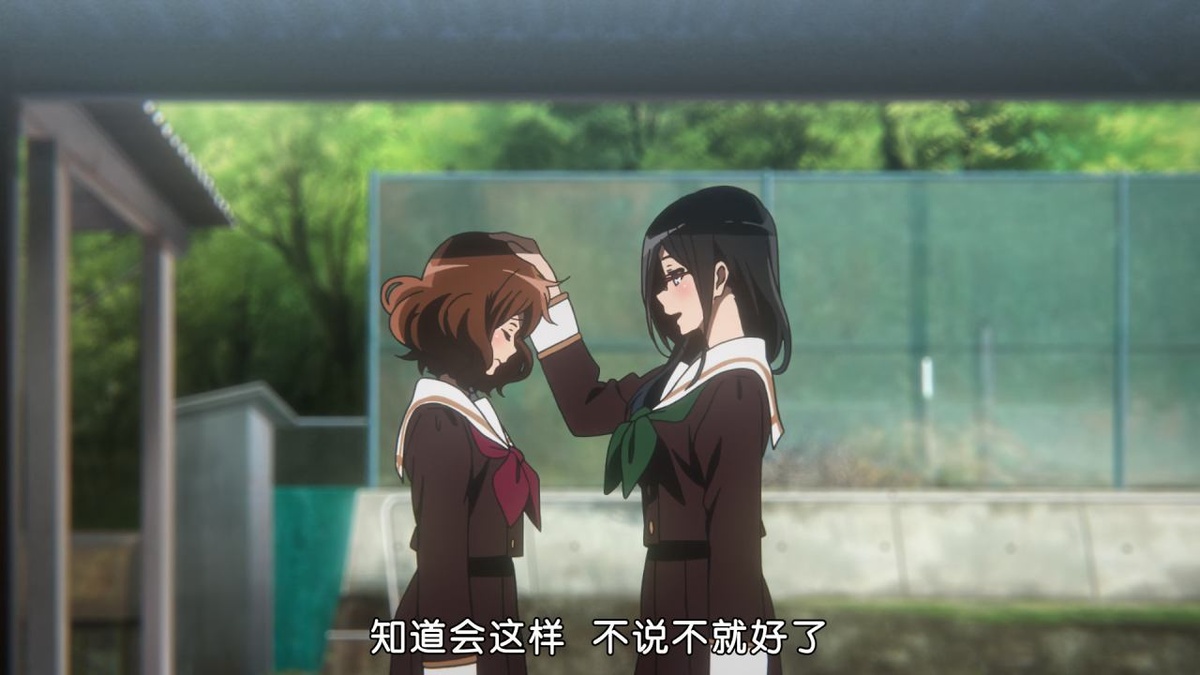 知道会这样 不说不就好了