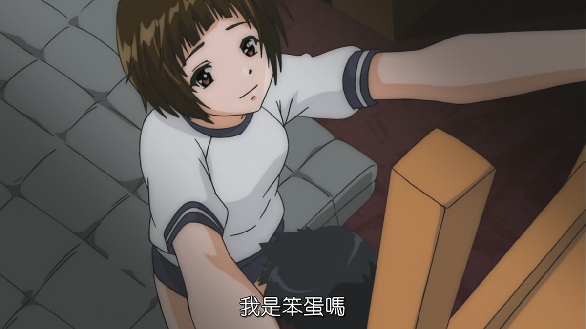我是笨蛋吗