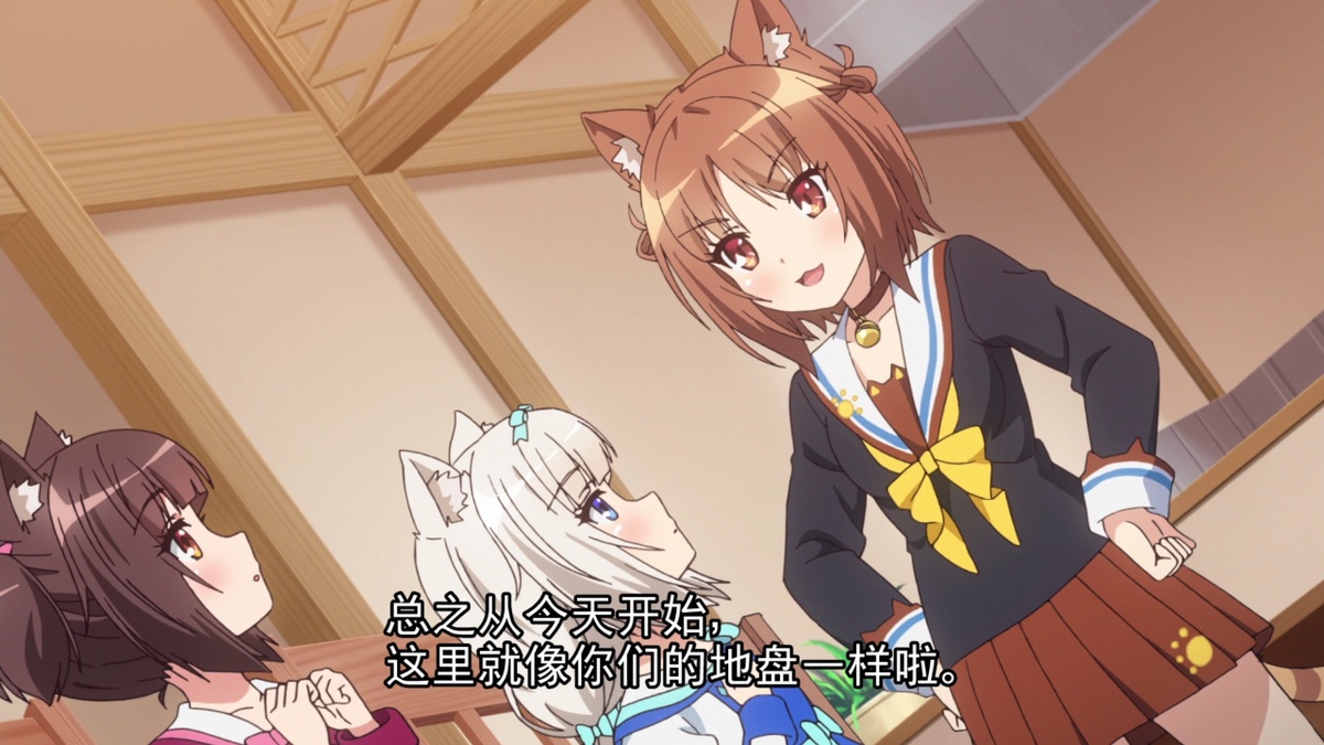 总之从今天开始 这里就像你们的地盘一样啦