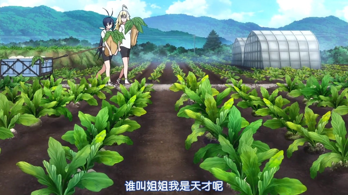 谁叫姐姐我是天才呢