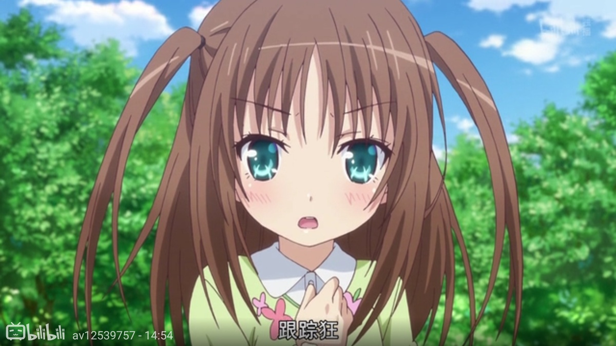 跟踪狂