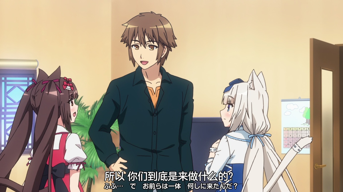 所以 你们到底是来做什么的？