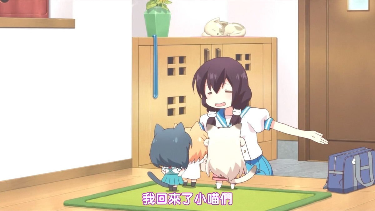 我回来了小猫们