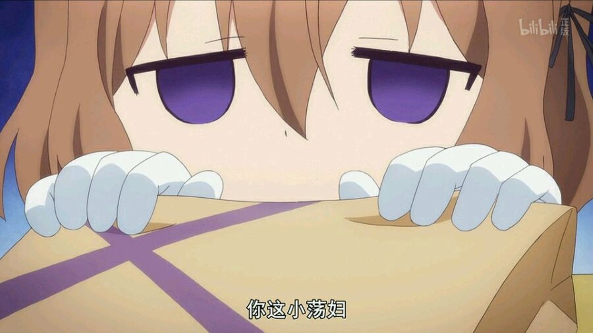 你这小荡妇