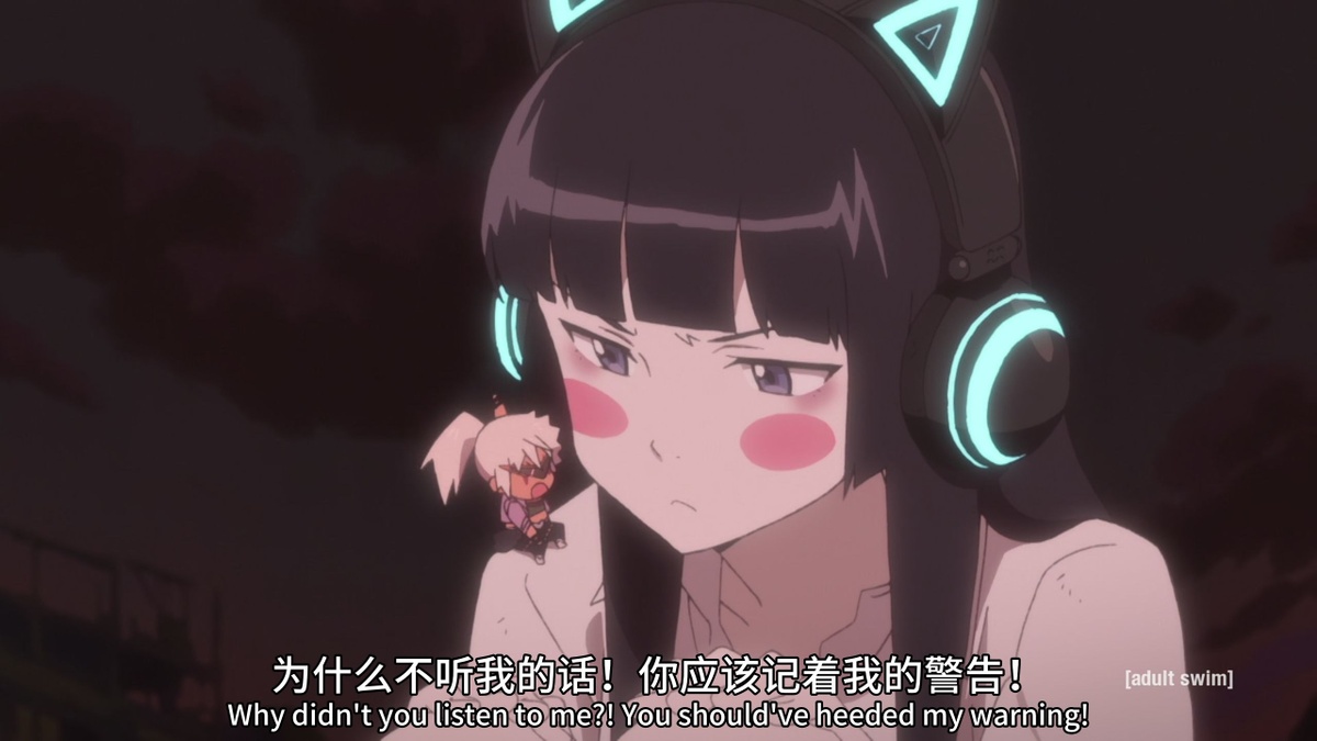 为什么不听我的话！你应该记住我的警告！