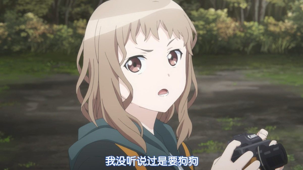 我没听说过是要狗狗