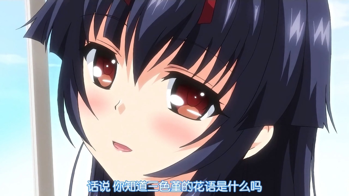 话说你知道三色堇的花语是什么吗