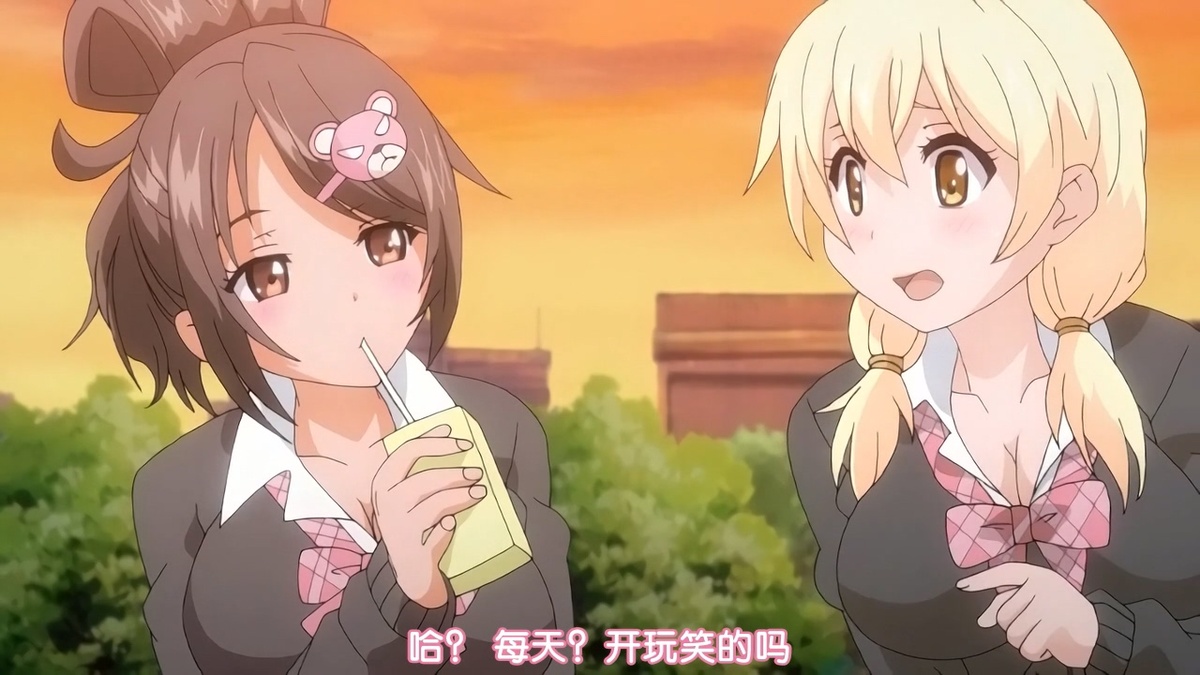 哈？每天？开玩笑的吗