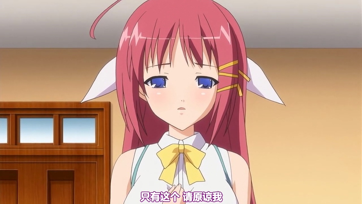 只有这个请原谅我