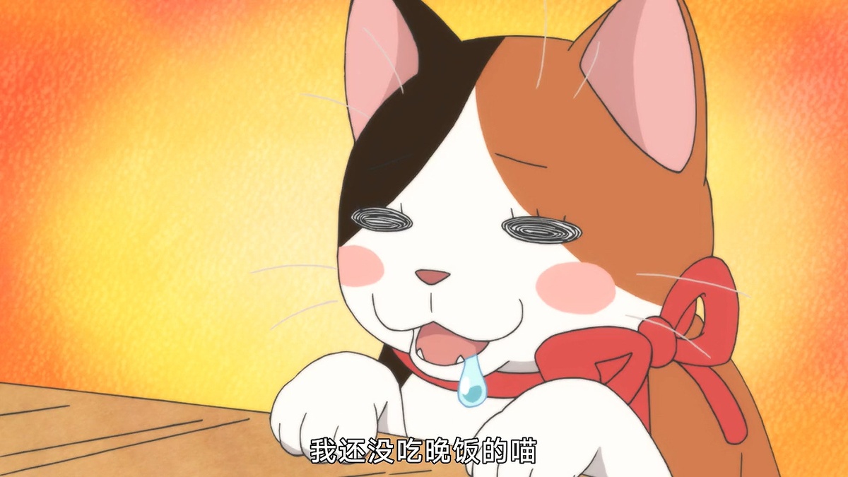 我还没吃晚饭的喵