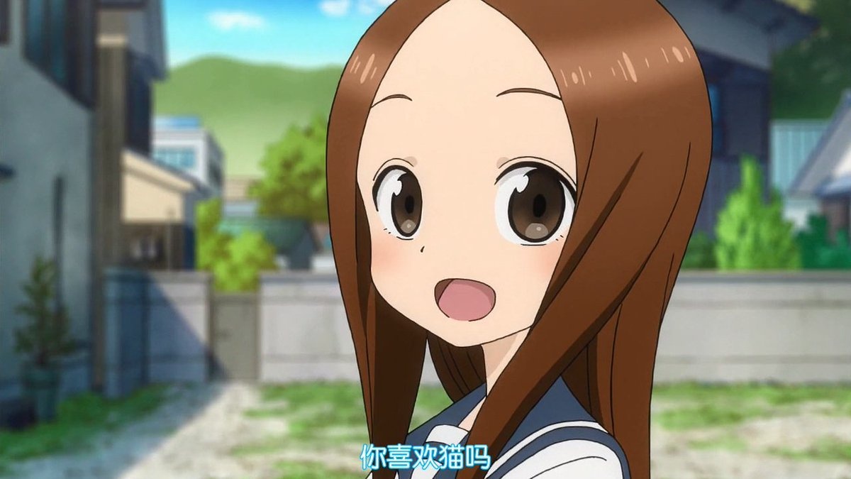 你喜欢猫吗