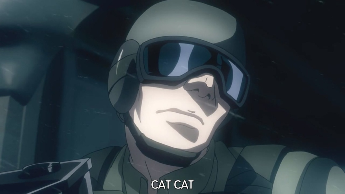CAT CAT