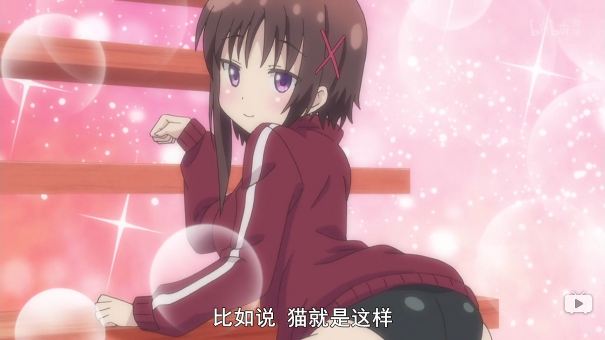 比如猫就是这样