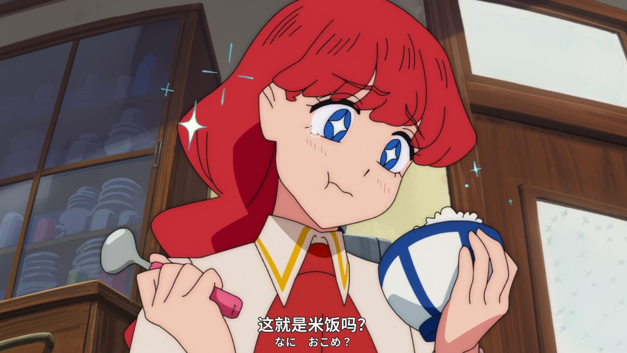 这就是米饭吗？